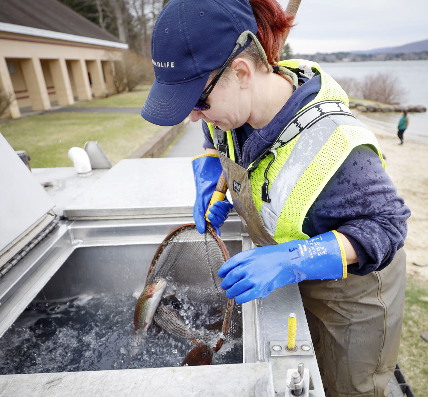 leanda fontaine catching trout in net from holding tank